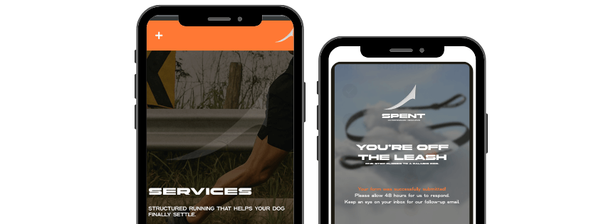 Phone screens showing the placement review step for structured dog running.