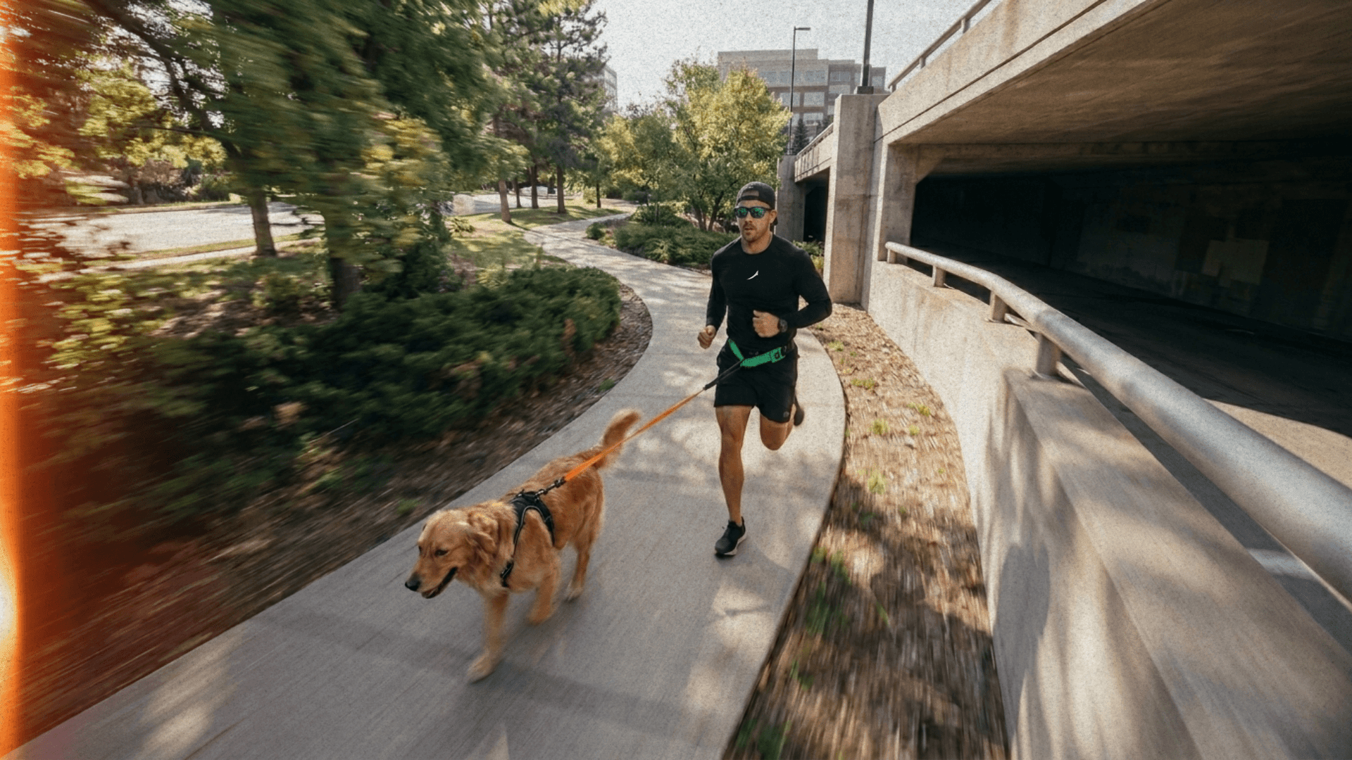 Structured dog running session on a neighborhood route in Arapahoe County, Colorado.